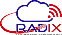 Radix